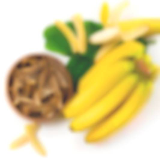 banani-vyaleni