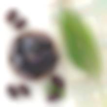 Фініки королівські Меджул натуральні